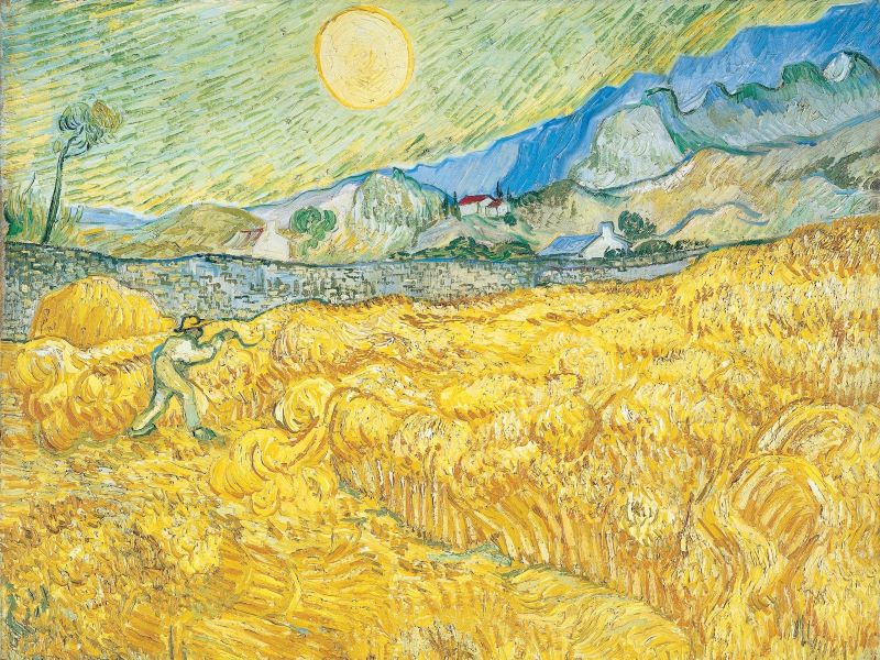 Podobenství o pleveli mezi pšenicí - záznamy z bohoslužeb
