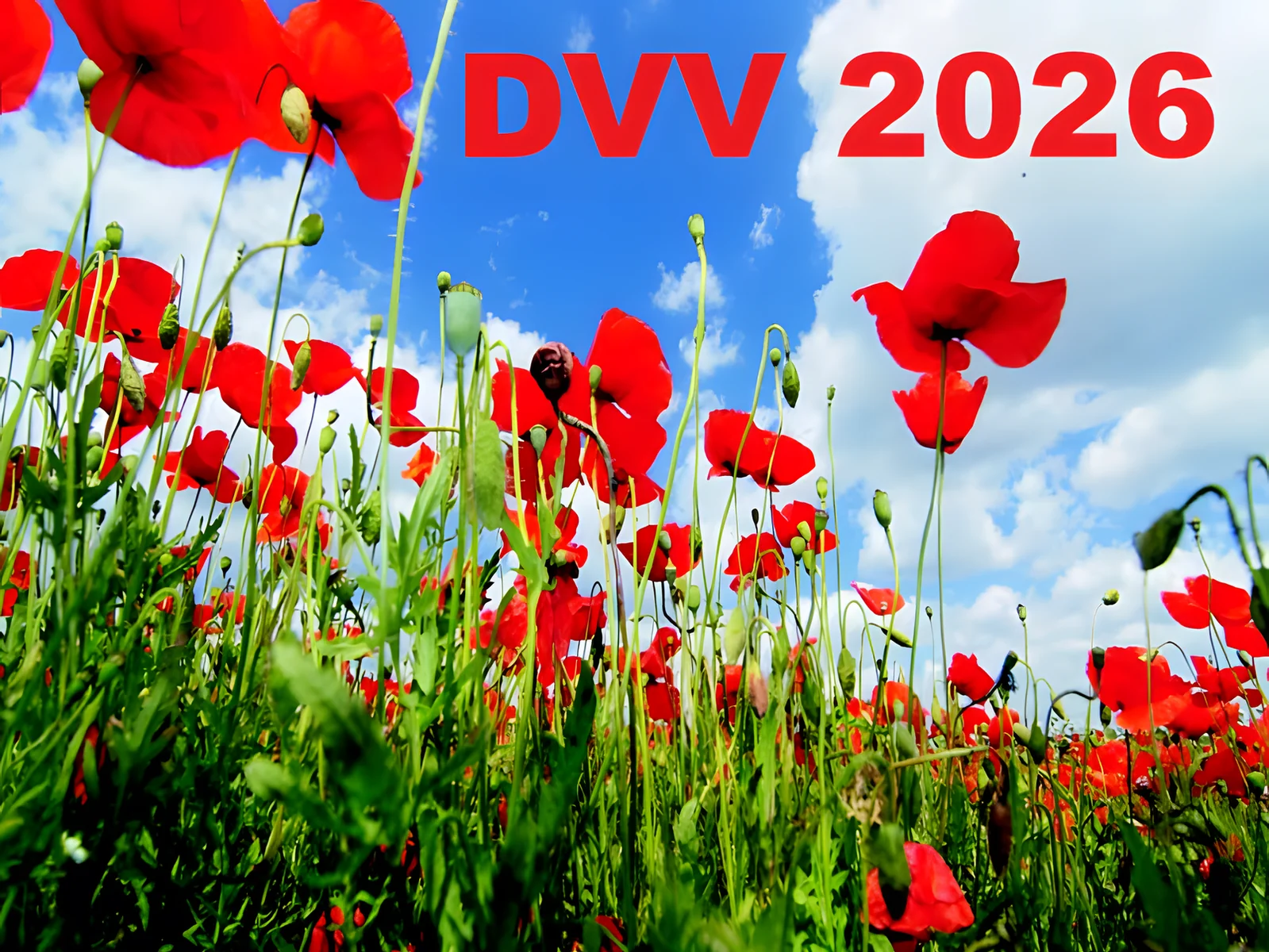 Pole červených mak pod modrou oblohou s nápisem DVV 2026